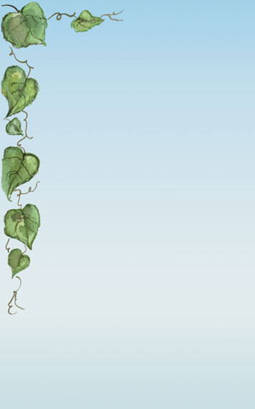 Choice 8 1/2" x 11" Menu Paper - Wine CountryThemed Grapevine Design Left Insert - 100/Pack