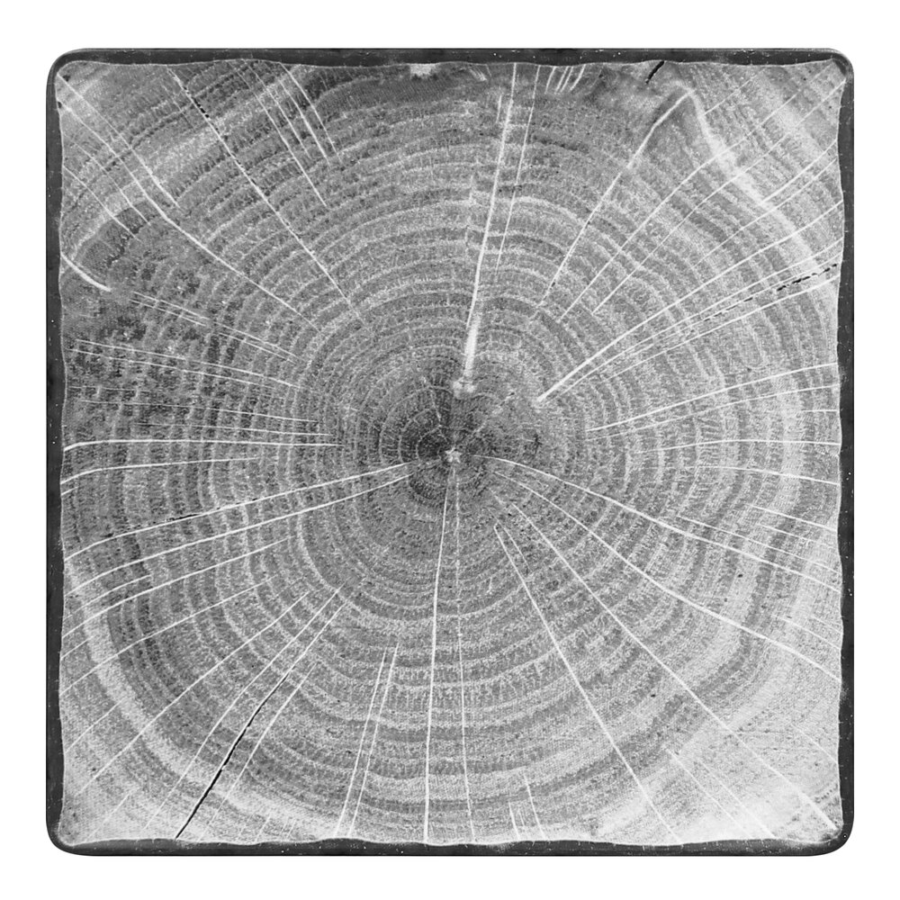 RAK Porcelain WDEDSQ30BG Woodart 12" Beech Grey Porcelain Square Coupe Plate - 6/Case