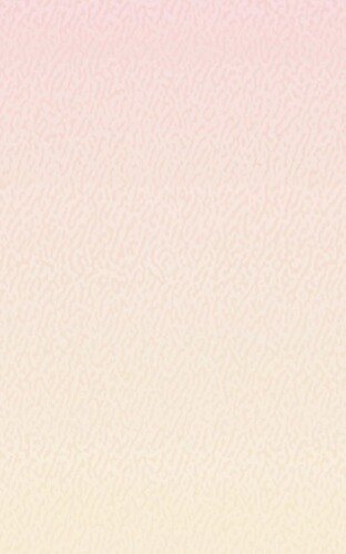 Choice 8 1/2" x 11" Menu Paper - Seafood Themed Shell Design Middle Insert - 100/Pack